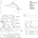 Swordfish Hunter diagram