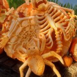 Pumpkin-Carving-of-Skeleton-and-Spider-Milwaukee-Zoo